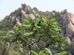 -北京凤凰岭