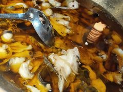 -雲蜀龙阁·金牌水煮鱼(方庄店)