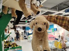 -宜家家居(高新商场店)