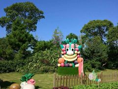 -上海都市菜园