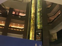 -深圳富临大酒店