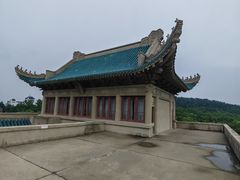 -武汉大学-樱园