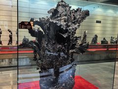 -乐山乌木文化博览苑