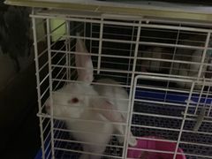 -金田水族花卉市场(银庄大厦店)