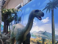 -国家自然博物馆