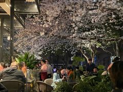 -玛格萝妮比萨屋(四平店)