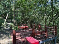 -上海佘山国家森林公园天马山园