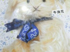 -珍妮曲奇聪明小熊(尖沙咀店)