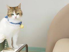 -怪兽屋·羊驼·猫咖·狗咖(俊华广场店)