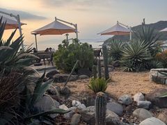 -Brew Farm·精酿农场海滨悬崖餐厅