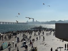 -星海广场