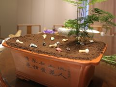 -明仕田园酒店