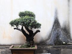 -朱家花园
