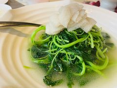 竹笙扒时蔬-皇朝会.经典传统粤菜(外滩店)