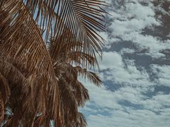 -三亚南山文化旅游区