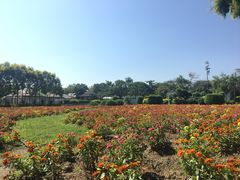 -广东花都香草世界旅游度假区