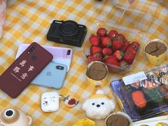 -映月湖中央公园