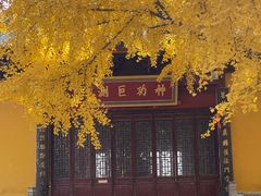 -上海青龙寺