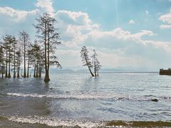 -大理洱海