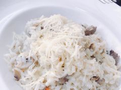 -Casa Nova