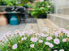 -T-COFFEE(长江花园店)