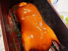 -鹿园 MOOSE(长宁店)