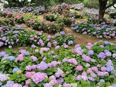 -名花谷生态庄园