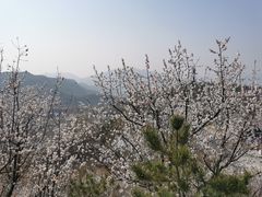 -定都峰