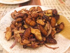 香酥蚕蛹-吉味馆(柠溪店)
