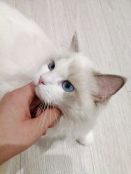 -Beauty Nails 美甲美睫皮肤管理