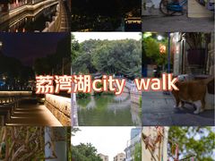 -荔湾湖公园