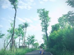 -白鹭湾湿地公园