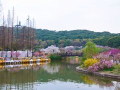 -苏州上方山国家森林公园