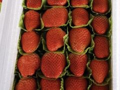 -东方鼎信农副产品交易中心