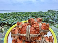 -七的湖·晚芳亭·阳澄湖农家菜·大闸蟹(莲花岛店)