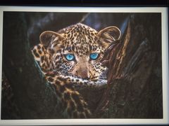 -罗红摄影艺术馆