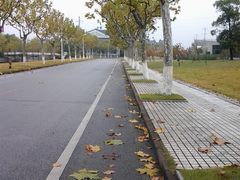 马路-同济大学(嘉定校区)