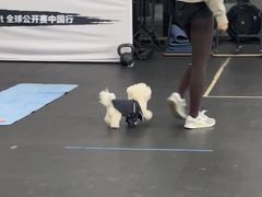 -CrossFit MET综合体能训练馆(朝阳路店)