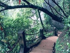 -青城山
