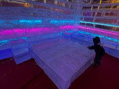 -长春世界雕塑园冰雪艺术天地