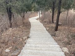 -北京西山国家森林公园