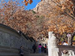 -青岩寺风景区