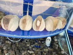 -沿海渔家院海鲜烧烤·东北菜(东戴河店)