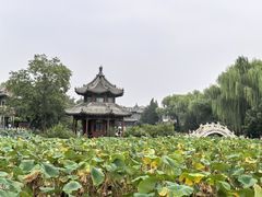 -莲池书院博物馆