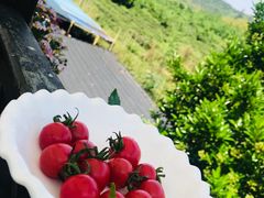 -旺山·浪头人家