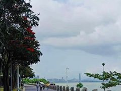 -深圳湾公园(南山区)