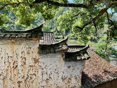 -杨家堂村