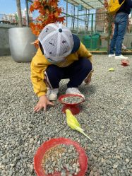 -萌宠亲子动物乐园(槐房万达店)