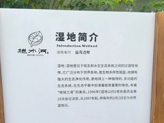 -桤木河湿地公园