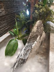 -芳朵美容养生SPA